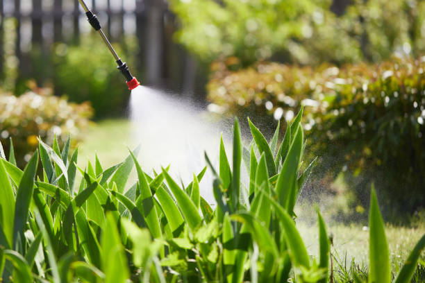 Tamper-Resistant Bait Stations for Rodents in La Grange