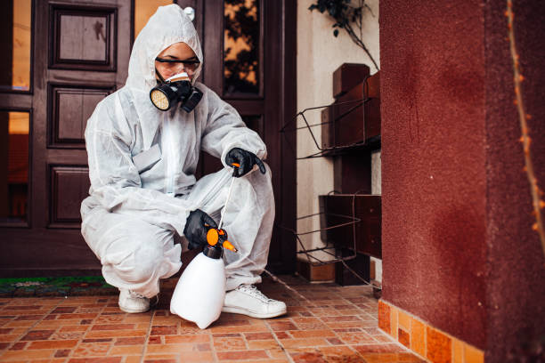 Attic and Crawl Space Rodent Treatment in La Grange